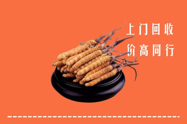 高价求购：阿坝黑水回收散虫草