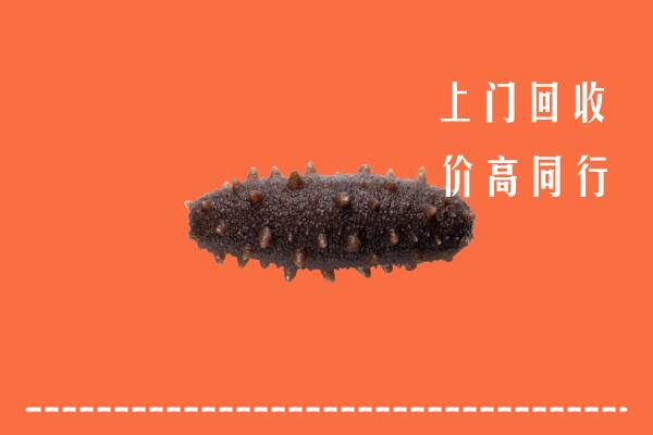 高价求购：阿坝黑水回收海参