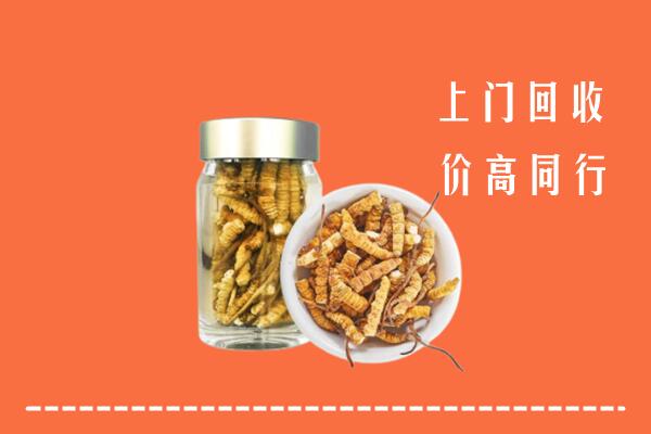 阿坝黑水回收冬虫夏草